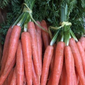 Carrots - Bunch