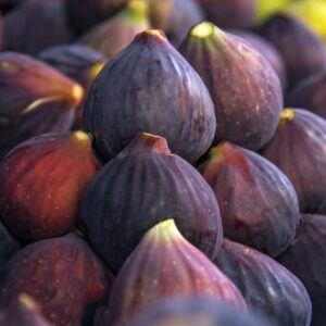 Figs - Fresh