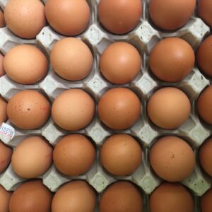Eggs - Medium - Tray x 30