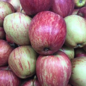 Apple, Royal Gala - x 4