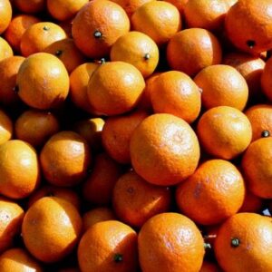Satsumas