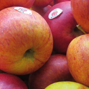 Apple Royal Gala