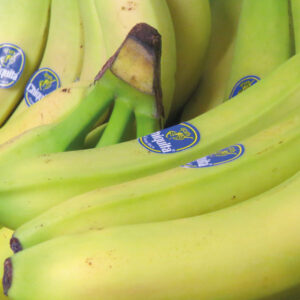 Bananas - x 6
