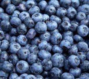 Blueberries  - x 125gm pnt