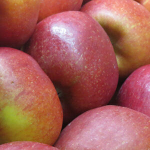 Apple Braeburn