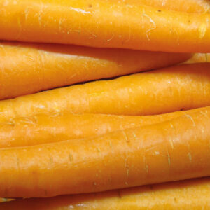 Carrots - x 4