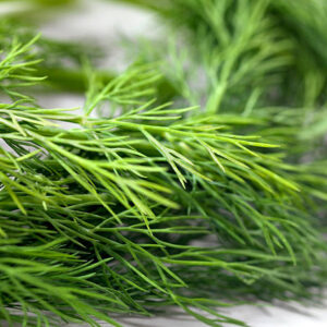 Dill