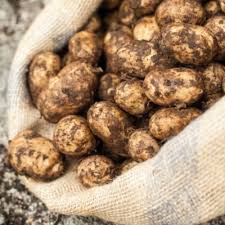 Potato - Cornish - 500g