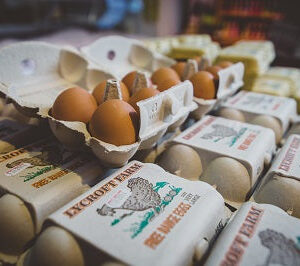 Eggs - Free Range, LARGE.