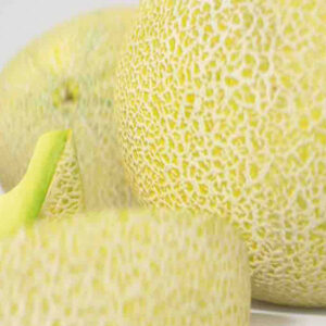 Melon Galia – each