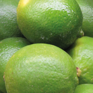 Limes