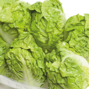 Lettuce,  Little Gem - x 1 pkt