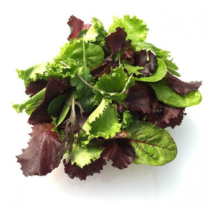 Mixed Baby Leaves