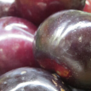 Red Plum