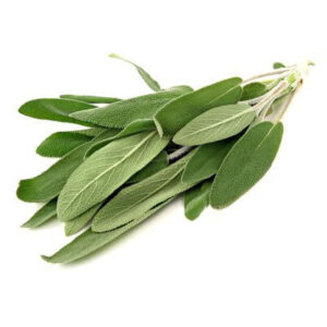 Sage