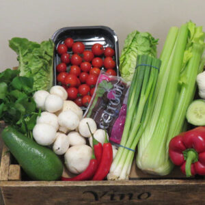 Salad Box